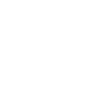 End Family Fire